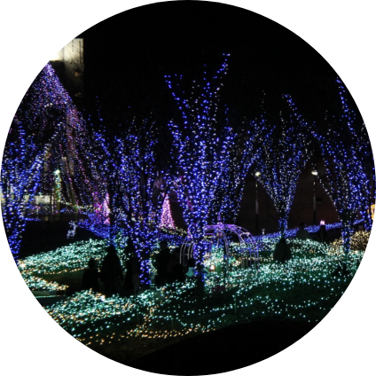 ひがしねの賑わい創出事業