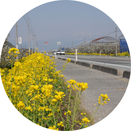 生活基盤等環境整備事業